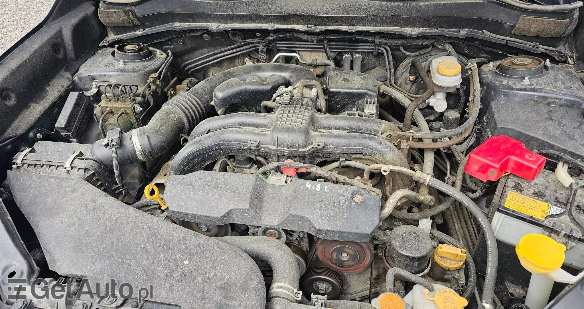 SUBARU Forester Exclusive Lineartr.