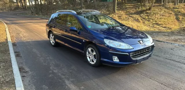 PEUGEOT 407 