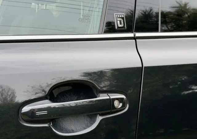 TOYOTA C-HR 1.2 Turbo Team Deutschland