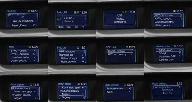 FORD EcoSport 1.0 EcoBoost Titanium ASS