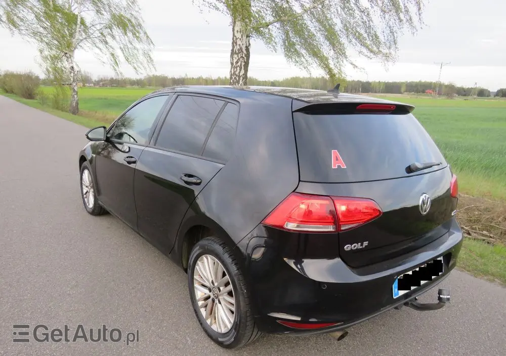 VOLKSWAGEN Golf 1.6 TDI Comfortline