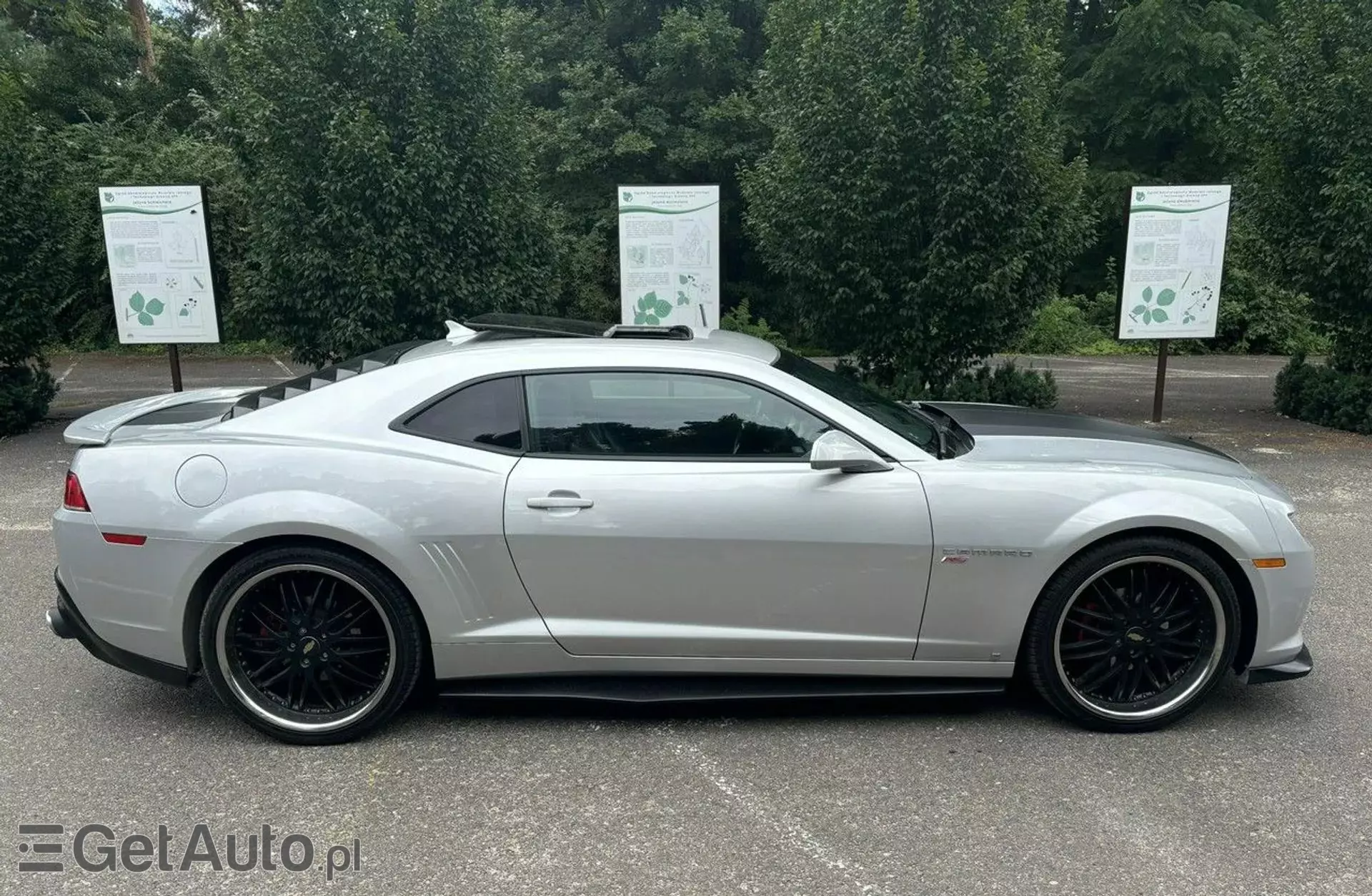 CHEVROLET Camaro 