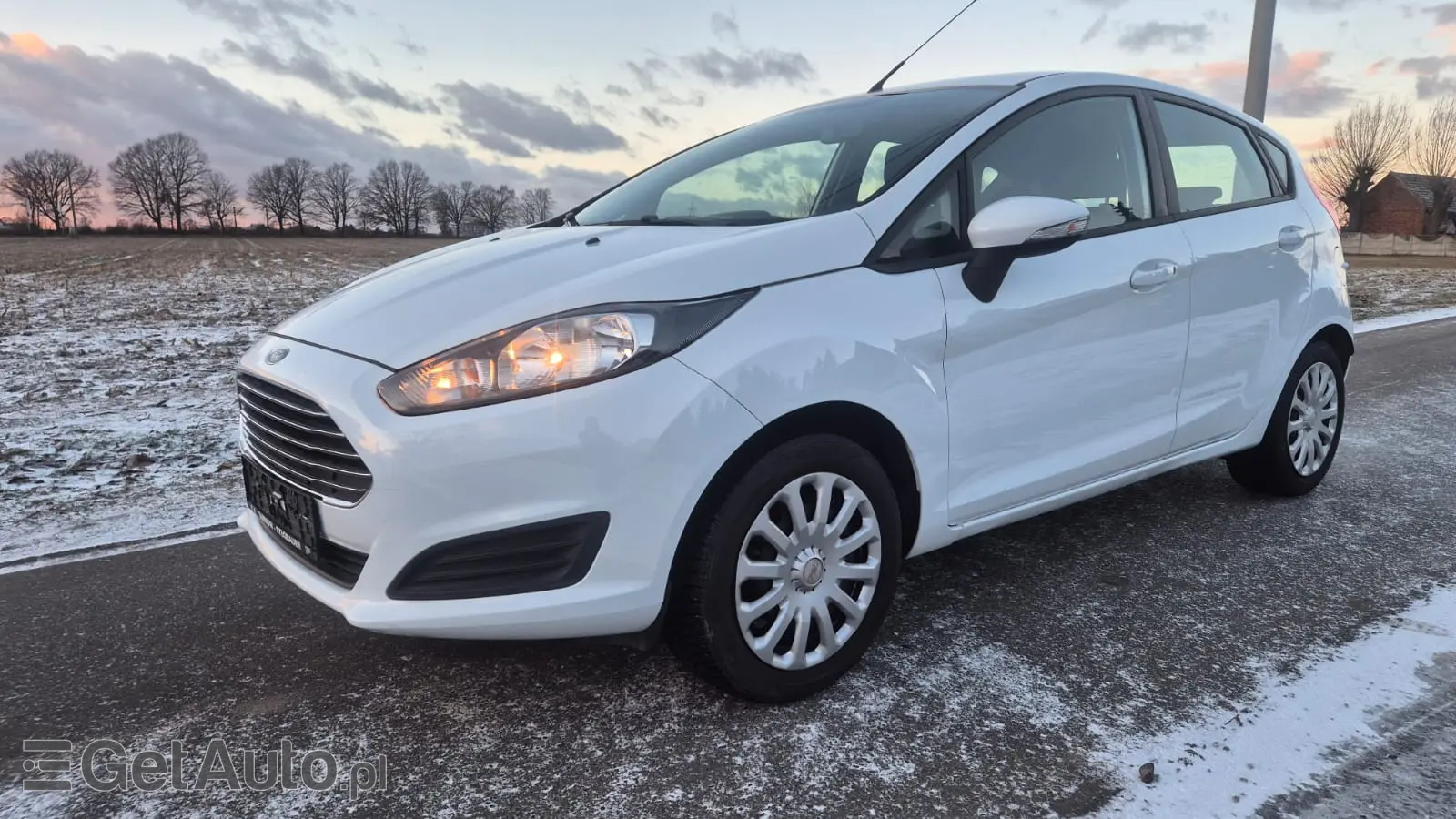 FORD Fiesta Titanium ECOnetic