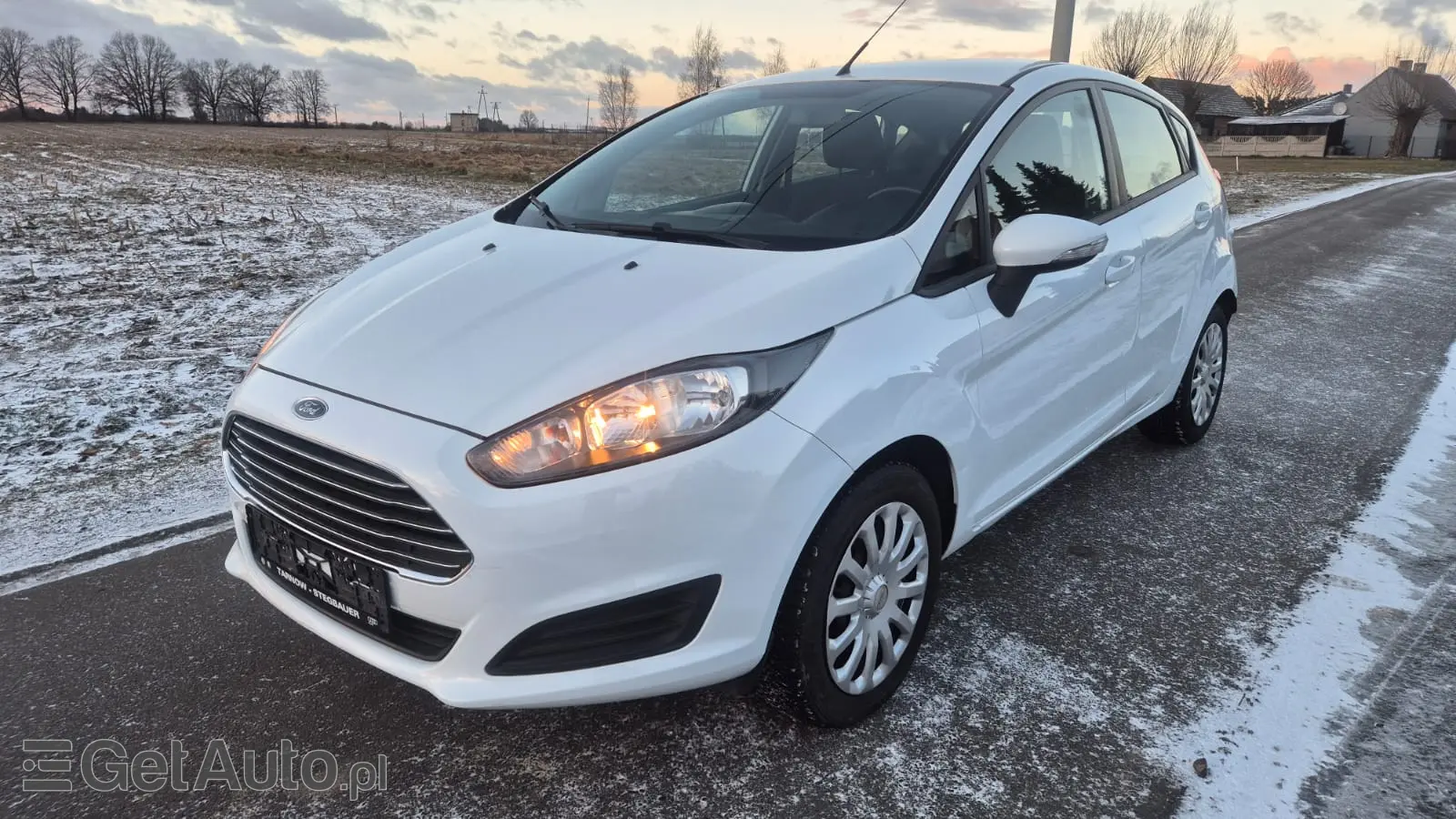 FORD Fiesta Titanium ECOnetic