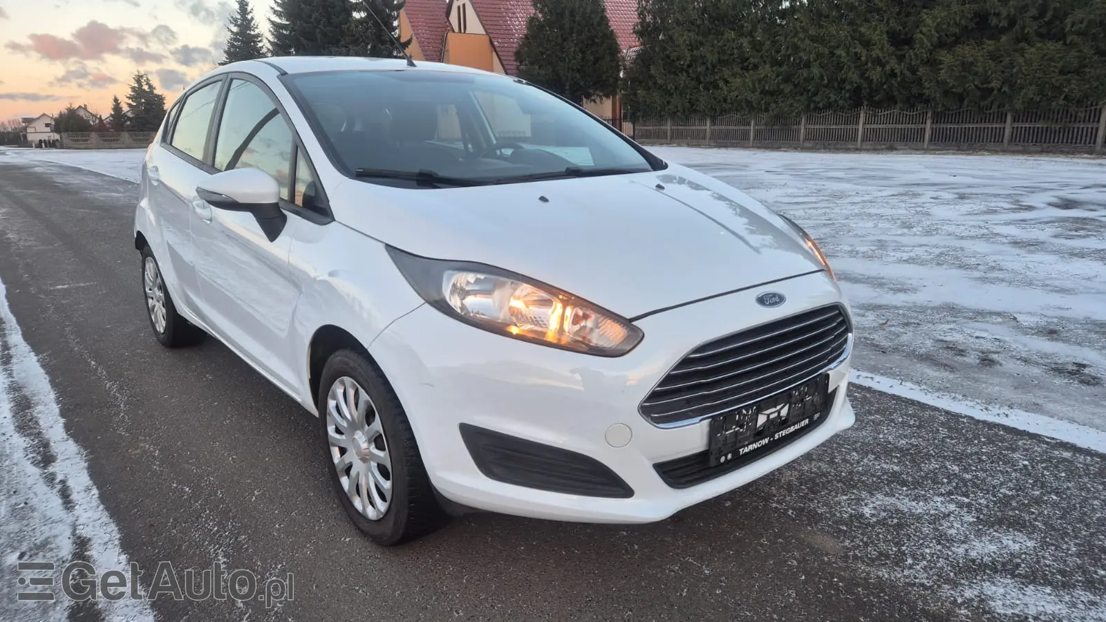 FORD Fiesta Titanium ECOnetic