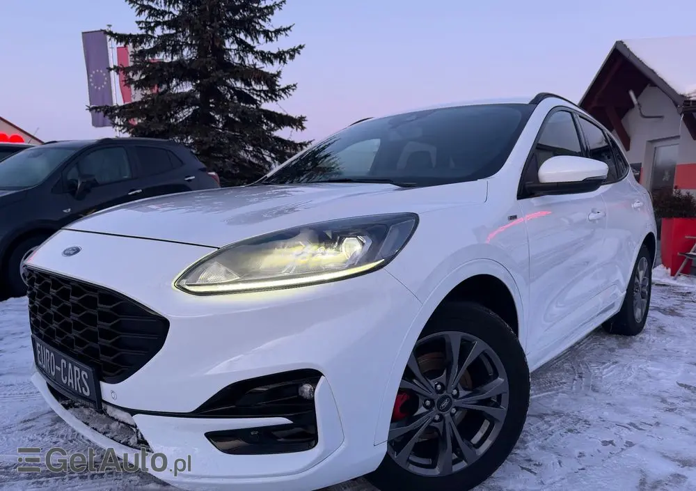 FORD Kuga 2.0 EcoBlue Hybrid ST-LINE