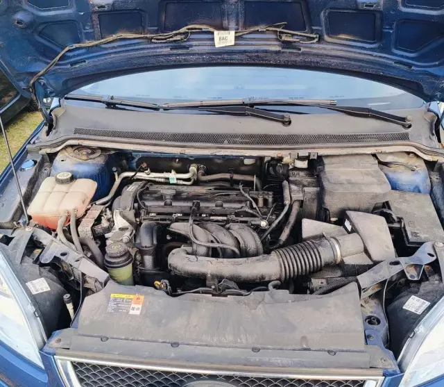 FORD Focus 1.6 Duratec 16V (100 KM) MT