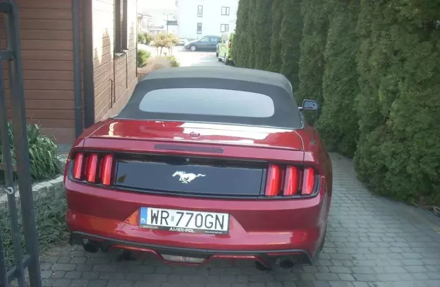 FORD Mustang 