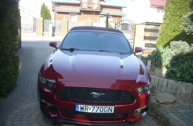 FORD Mustang 