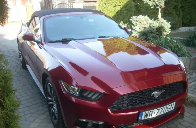 FORD Mustang 