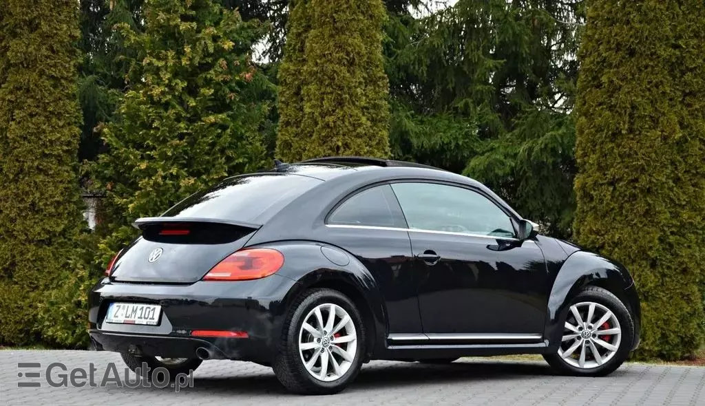 VOLKSWAGEN Beetle 