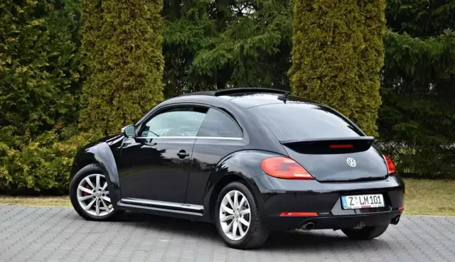 VOLKSWAGEN Beetle 