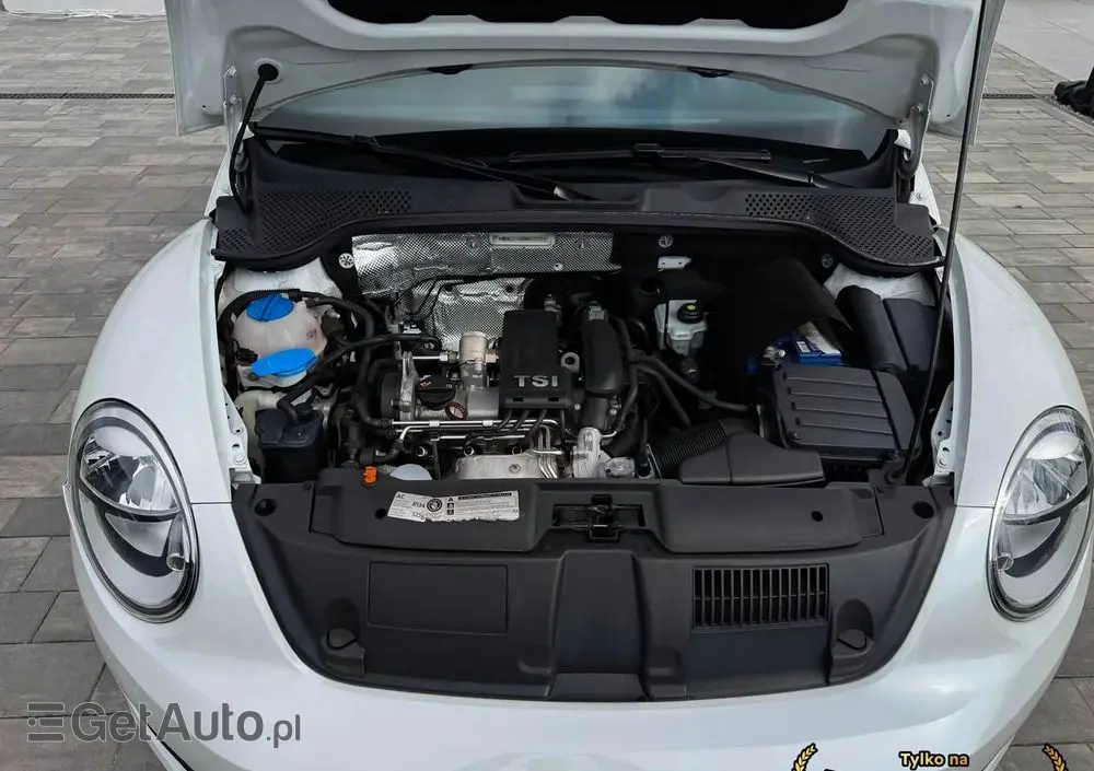 VOLKSWAGEN Beetle 