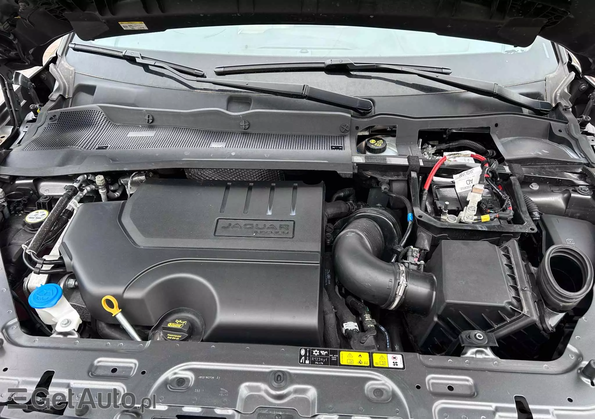 JAGUAR E-Pace P250 AWD