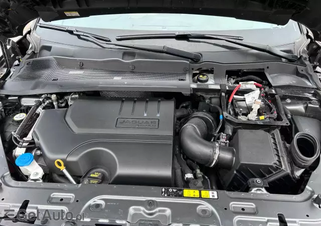 JAGUAR E-Pace P250 AWD