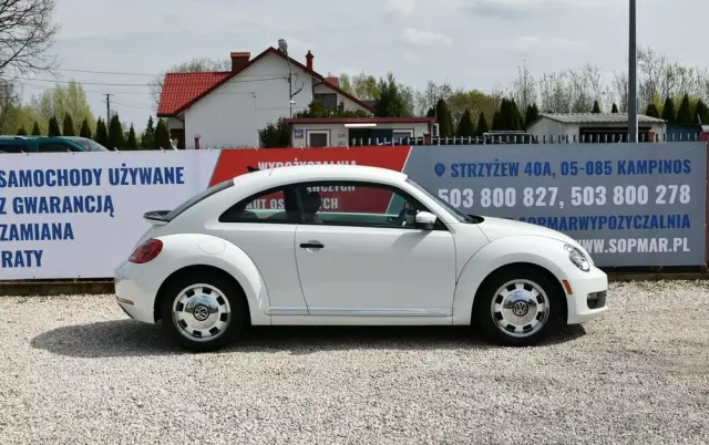 VOLKSWAGEN New Beetle 