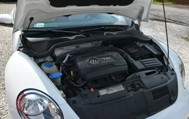 VOLKSWAGEN New Beetle 