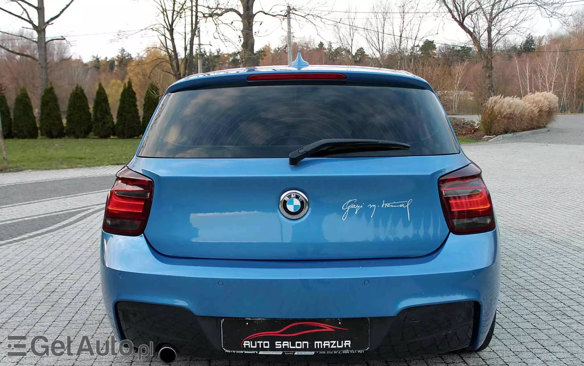 BMW Seria 1 120d BluePerformance Sport Line