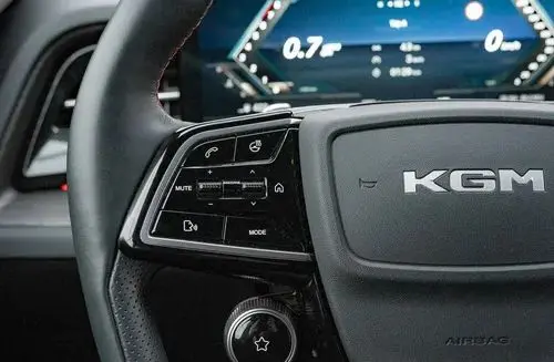 SSANGYONG/KGM Actyon 