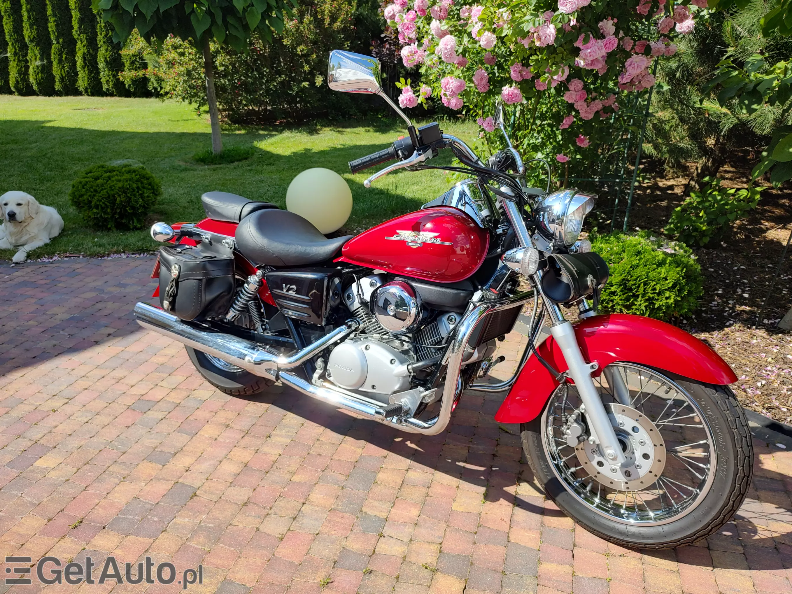 HONDA Shadow 