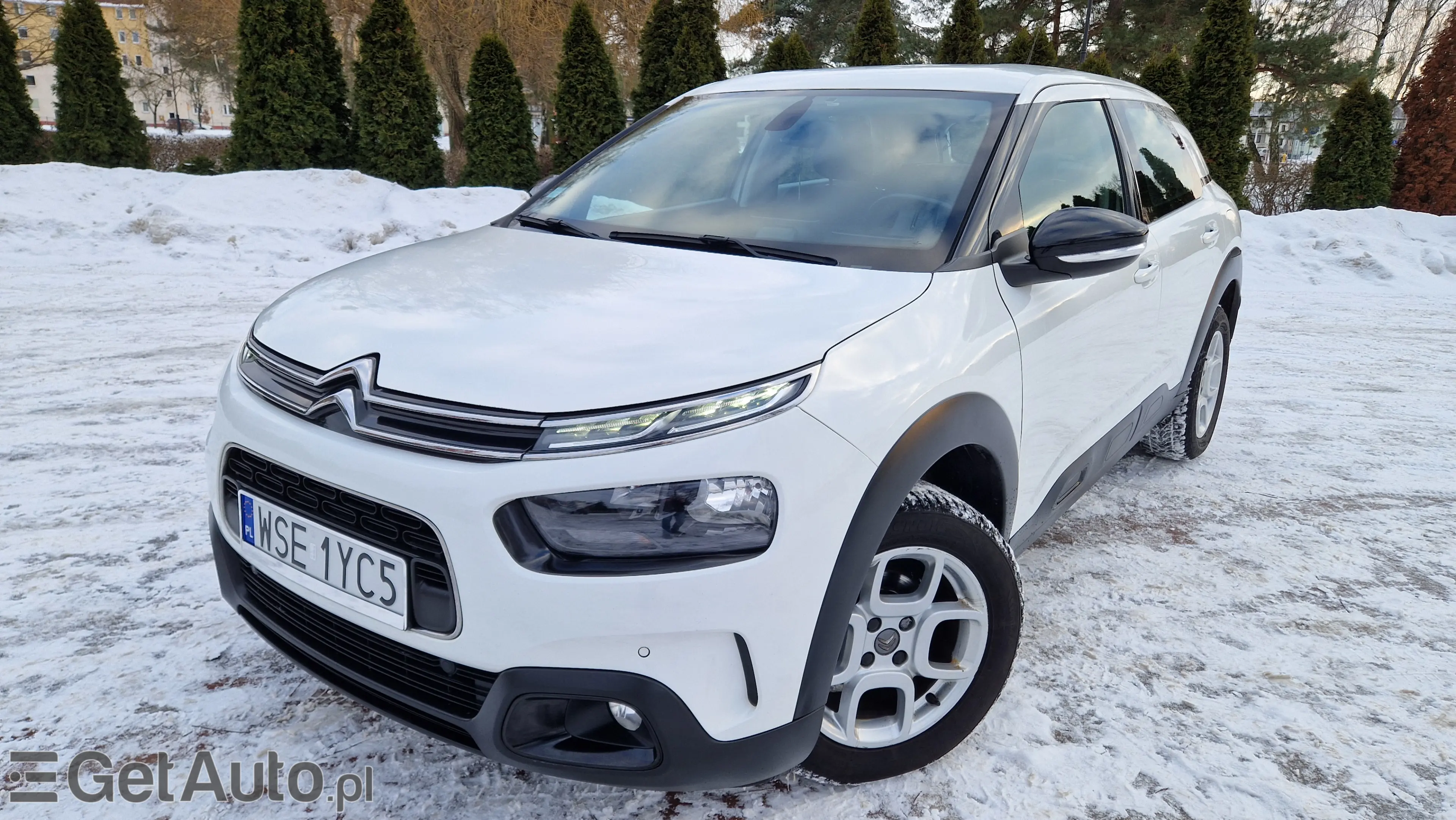 CITROËN C4 Cactus Shine