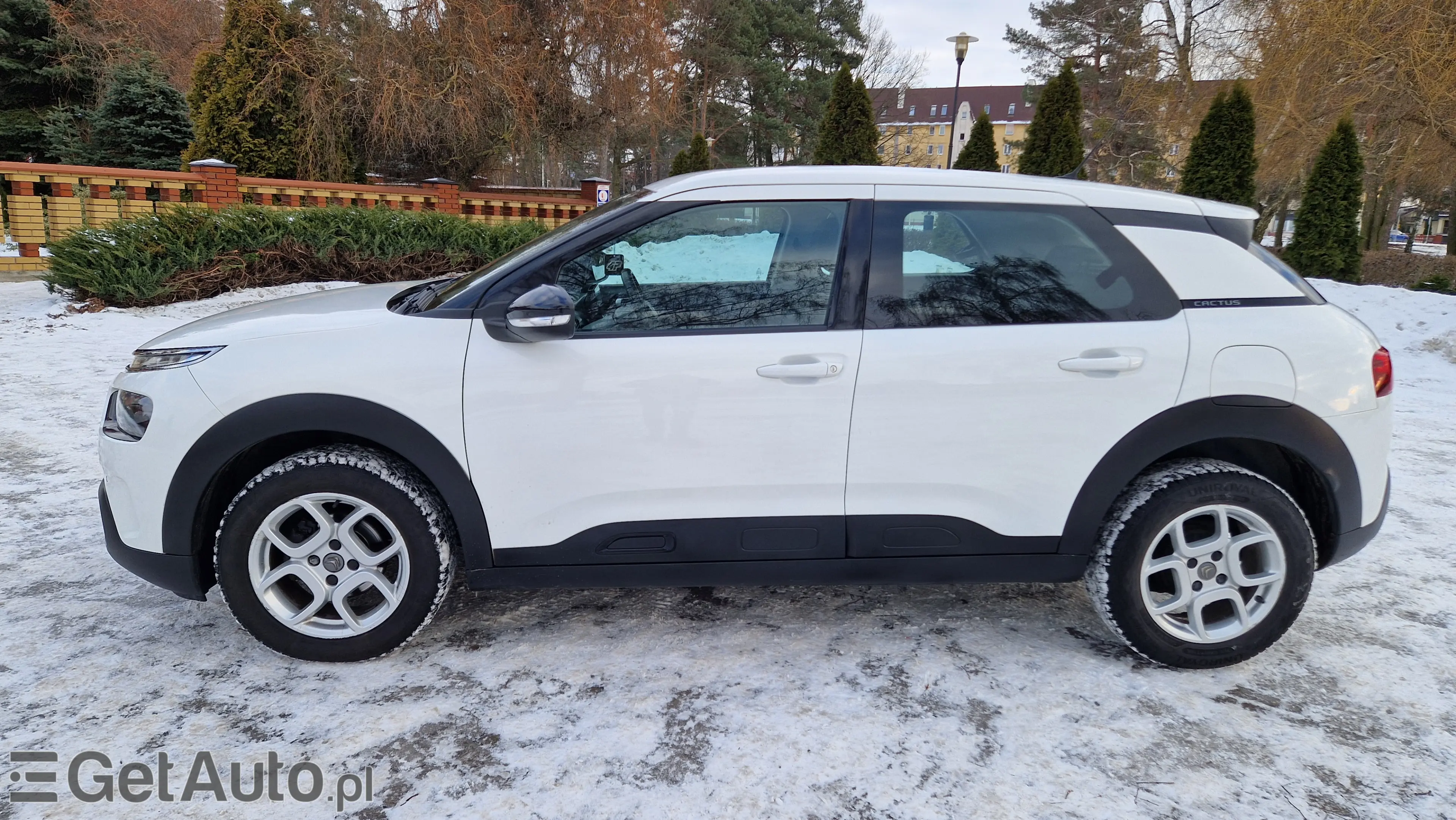 CITROËN C4 Cactus Shine