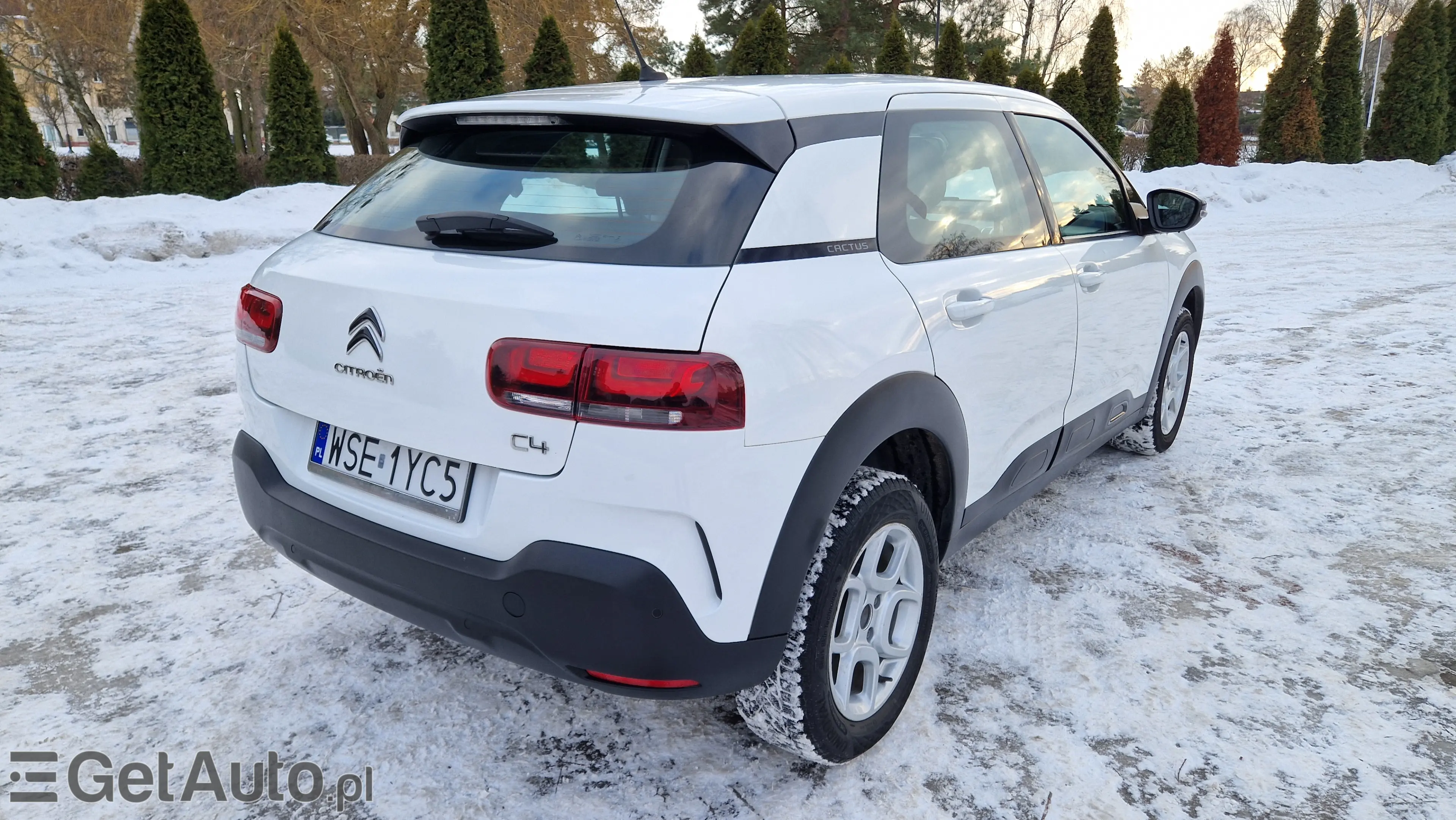 CITROËN C4 Cactus Shine
