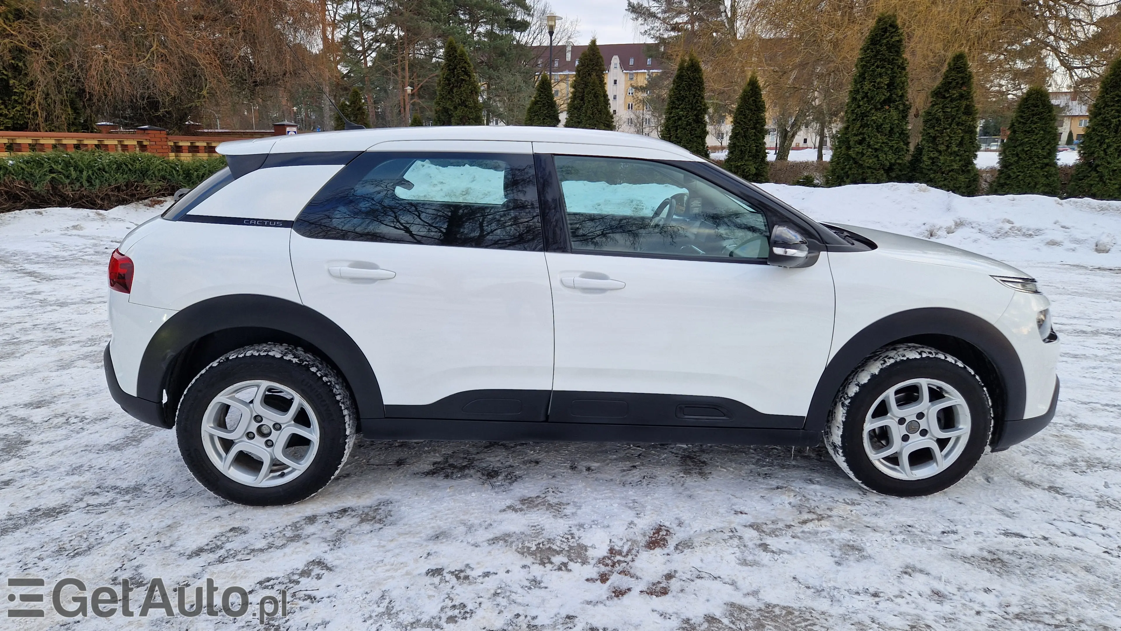 CITROËN C4 Cactus Shine