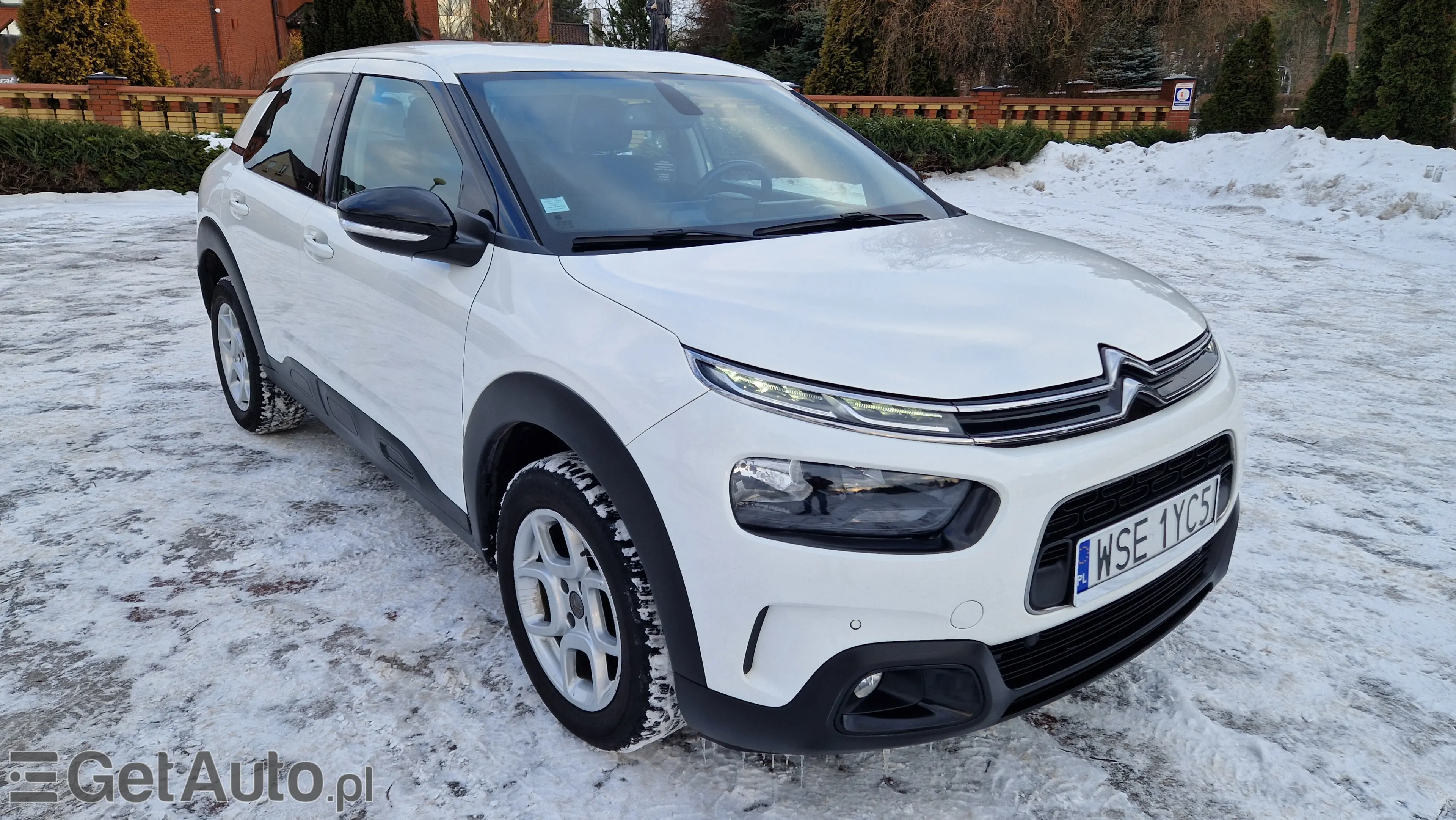 CITROËN C4 Cactus Shine