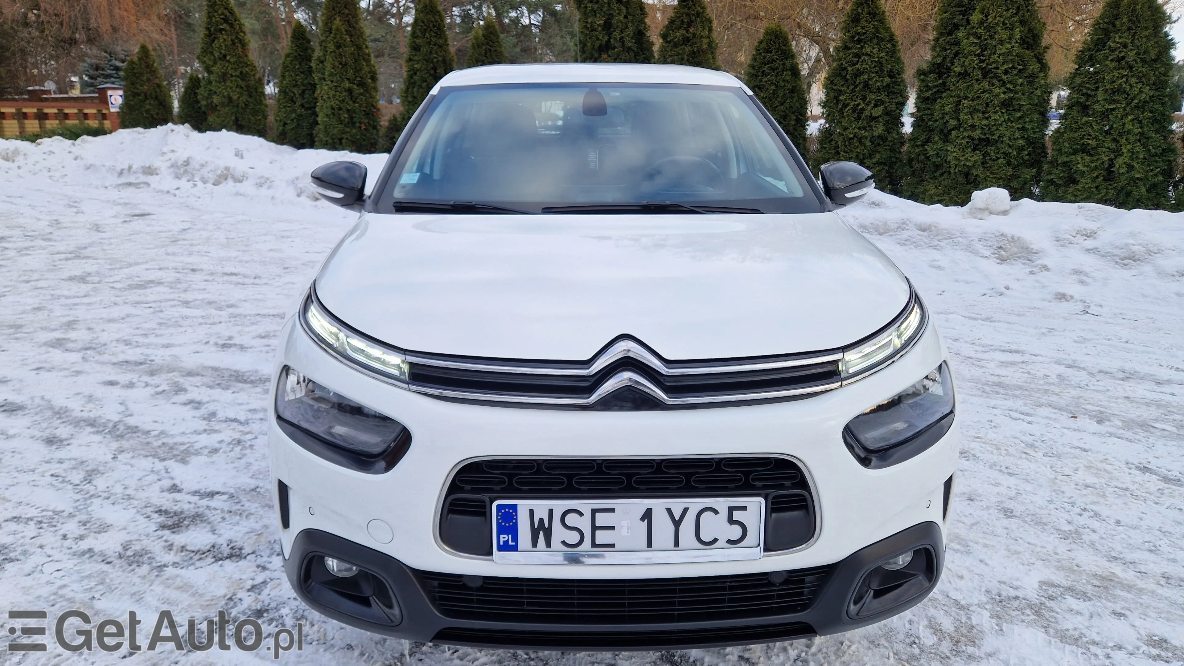 CITROËN C4 Cactus Shine
