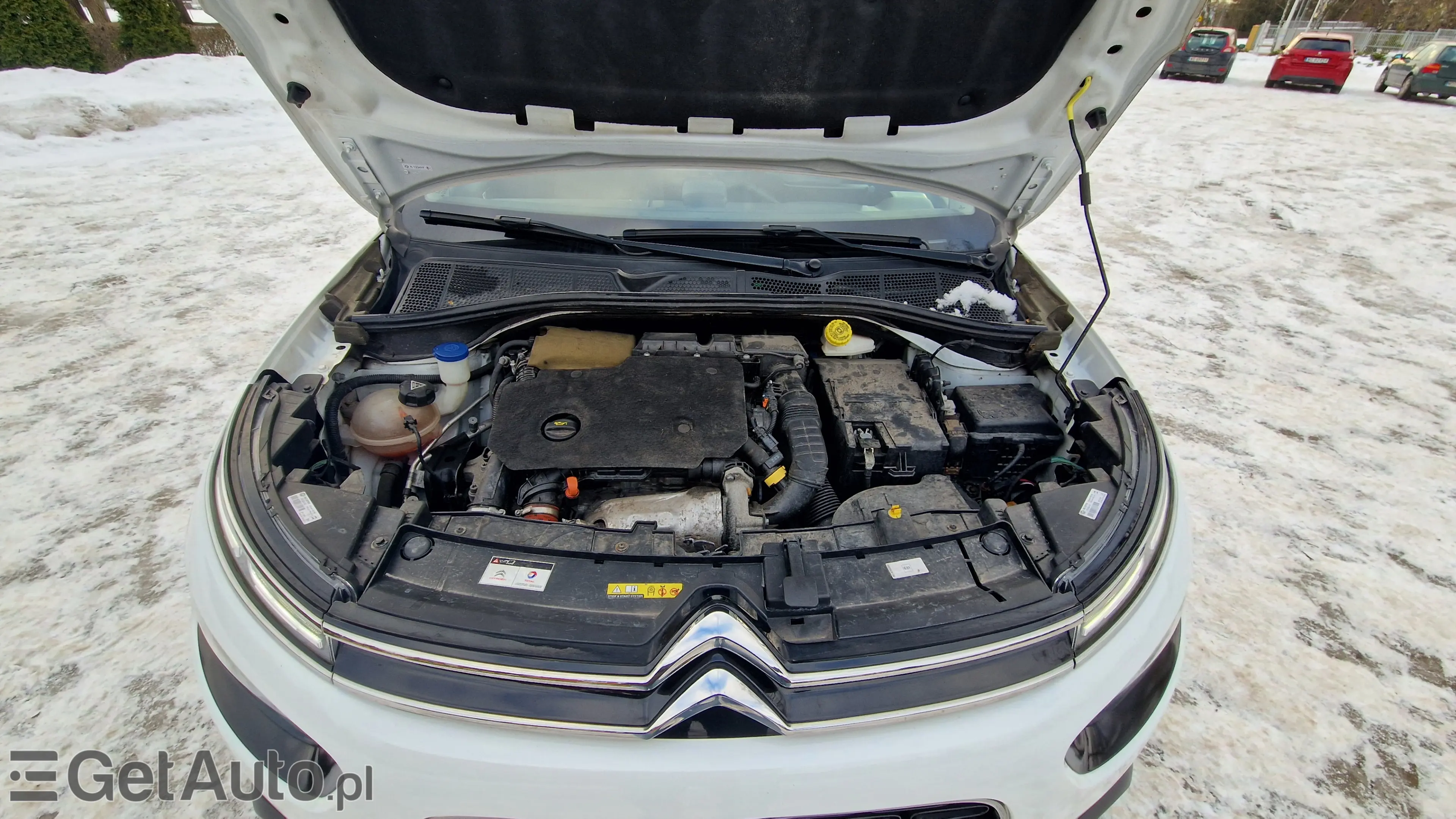 CITROËN C4 Cactus Shine