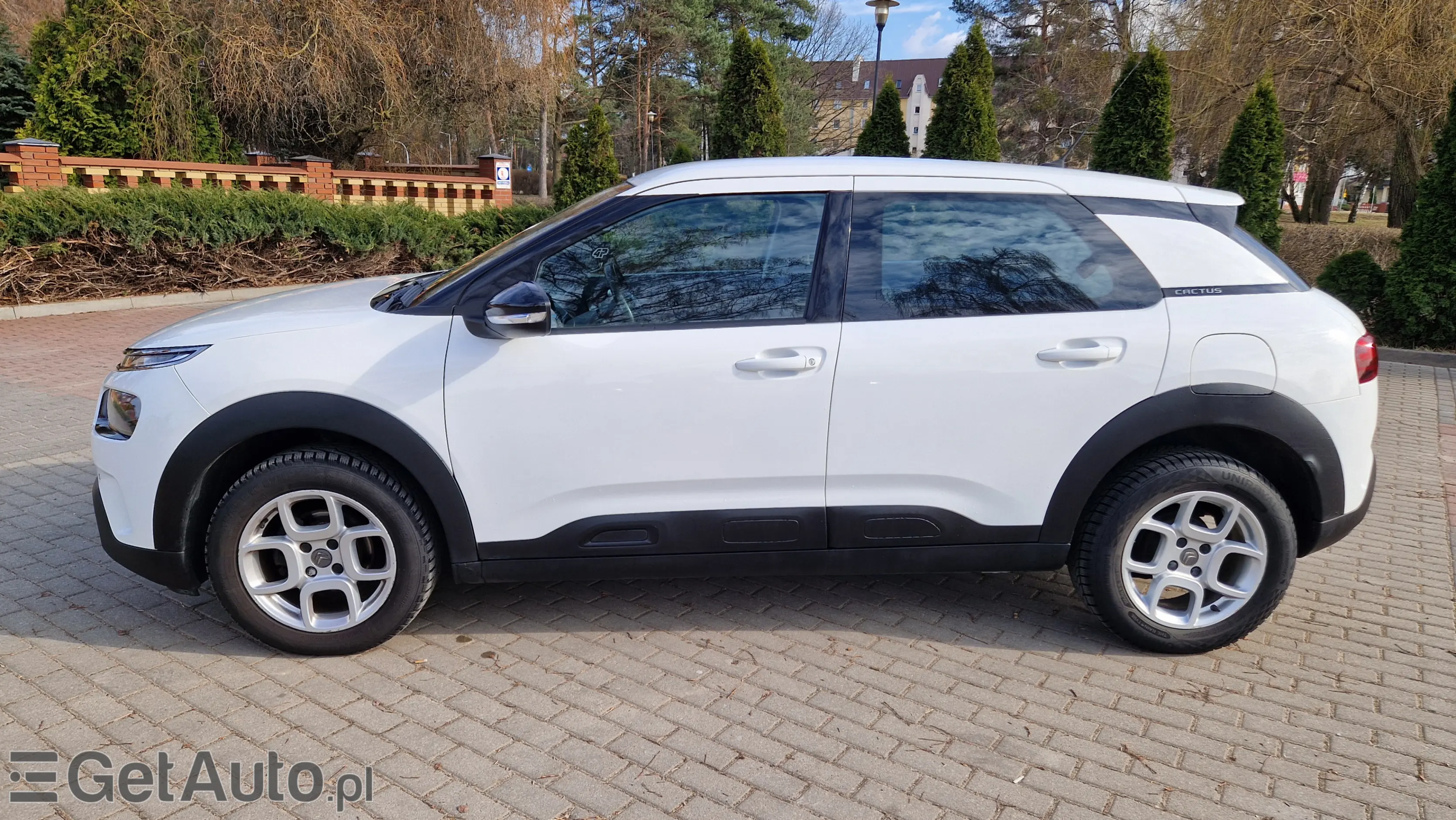 CITROËN C4 Cactus Shine