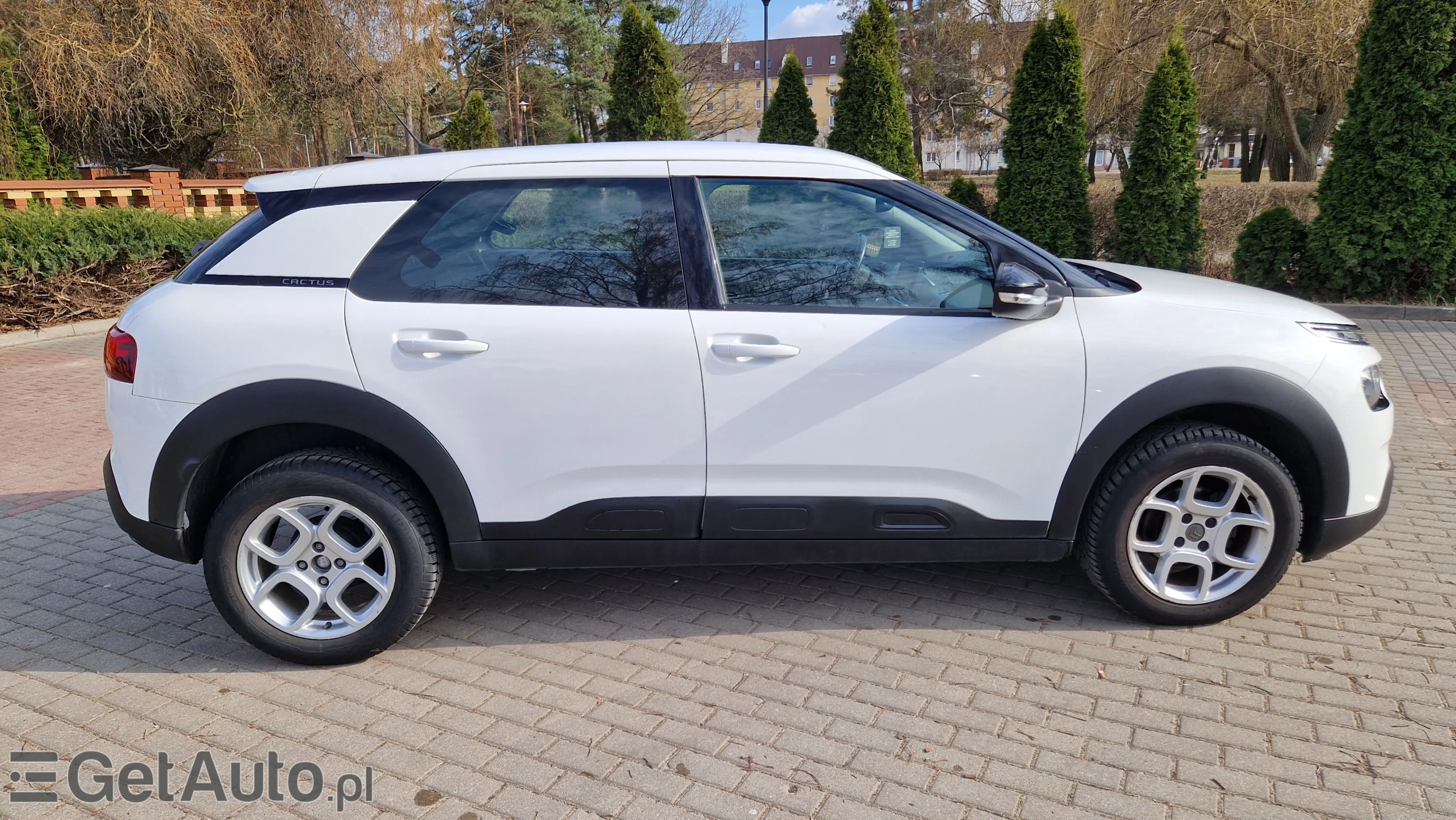 CITROËN C4 Cactus Shine