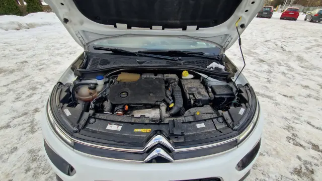 CITROËN C4 Cactus Shine