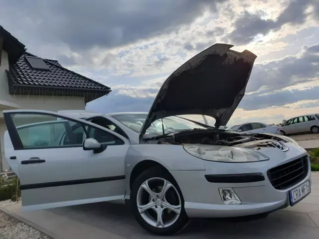 PEUGEOT 407 
