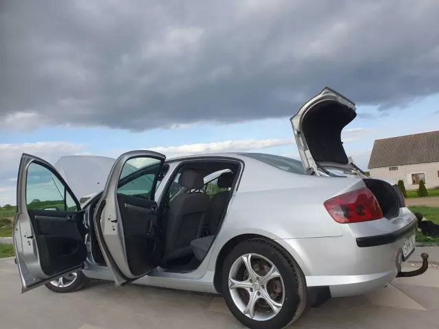 PEUGEOT 407 