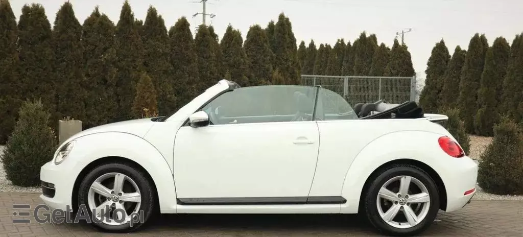 VOLKSWAGEN Beetle 