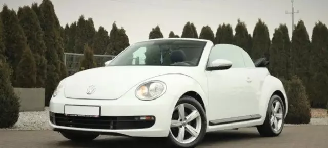 VOLKSWAGEN Beetle 