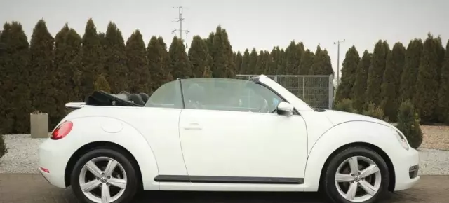VOLKSWAGEN Beetle 