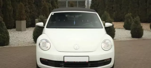 VOLKSWAGEN Beetle 