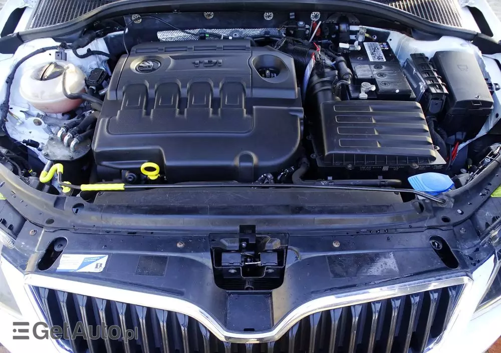 SKODA Octavia 2.0 TDI Joy DSG