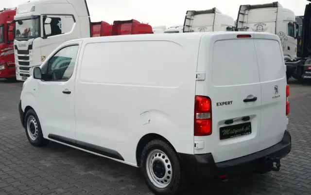 PEUGEOT EXPERT  / BLASZAK / FURGON / MANUAL 