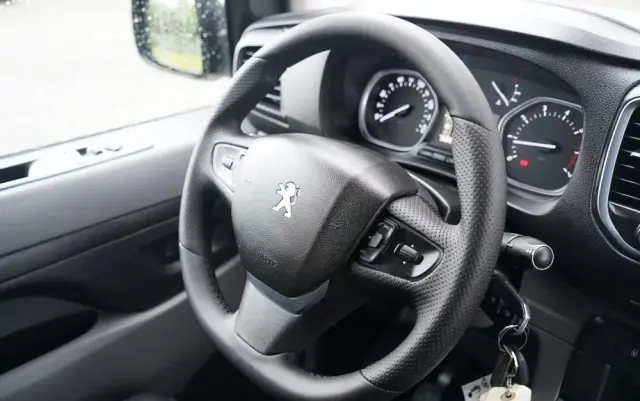 PEUGEOT EXPERT  / BLASZAK / FURGON / MANUAL 