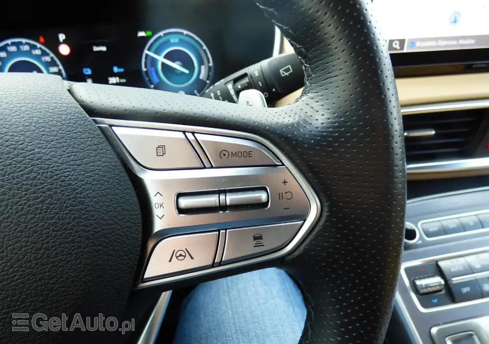 HYUNDAI Santa Fe 1.6 T-GDI PHEV Platinum 4WD