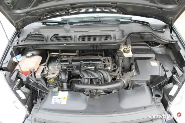 FORD C-Max Ambiente