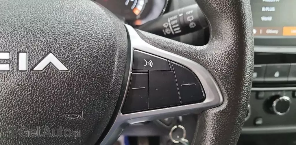 DACIA Spring 