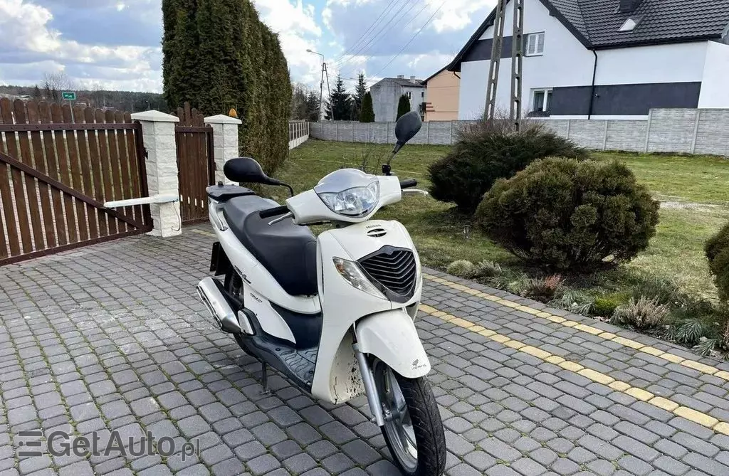HONDA SH 