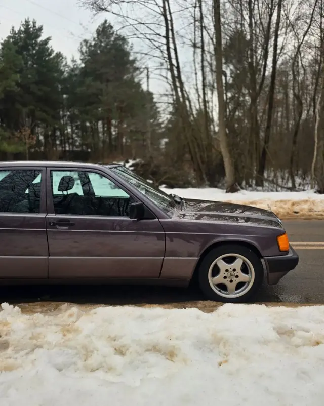 MERCEDES-BENZ W201 (190) 
