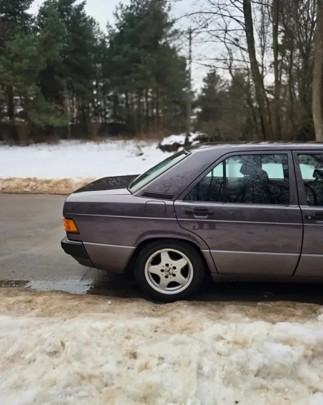 MERCEDES-BENZ W201 (190) 