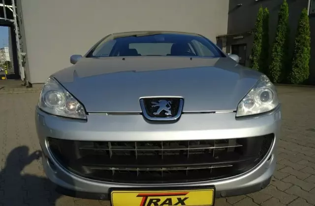 PEUGEOT 407 